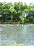 Río la Poza de Río Grande - RÍO GRANDE